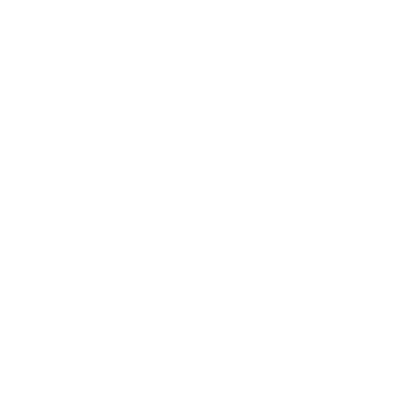Toro